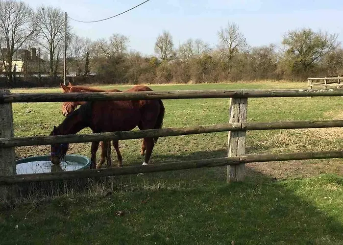 Propriete A 3 Mins Du Chateau Du Haras Du Pin