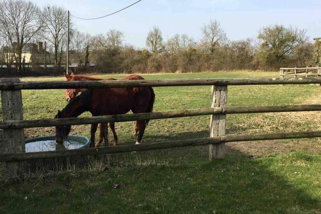 Propriete A 3 Mins Du Chateau Du Haras Du Pin Villa Le Pin-au-Haras