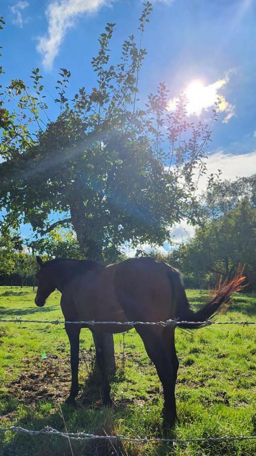 Propriete A 3 Mins Du Chateau Du Haras Du Pin